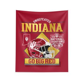 2025 NCAA Football Championship Indiana Hoosiers Golden Wall Hanging 34x40 inches